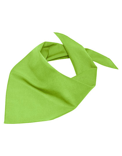 Triangular Scarf L-Shop