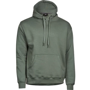 Hooded\u0020Sweatshirt - Leaf Green