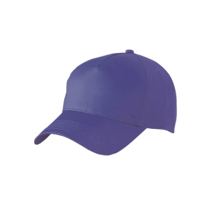 5\u002DPanel\u0020Cap - Mauve