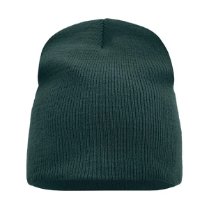 Beanie\u0020No.\u00201 - Dark Green