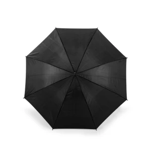 Automatic Umbrella