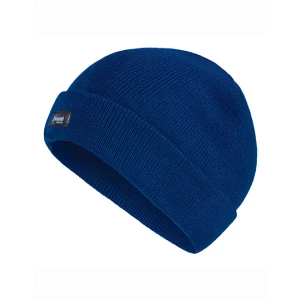 Thinsulate\u0020Hat - Classic Royal