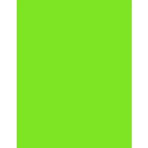 Polyneon\u002060\u0020\u00281.500\u0020m\u0029 - 1950 Lime