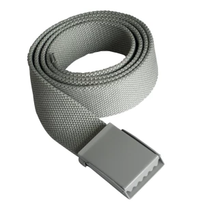 Trendy\u0020Promotional\u0020Belt\u0020Basel - Grey