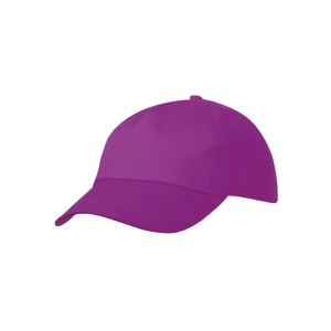 5\u0020Panel\u0020Promo\u0020Cap - Purple