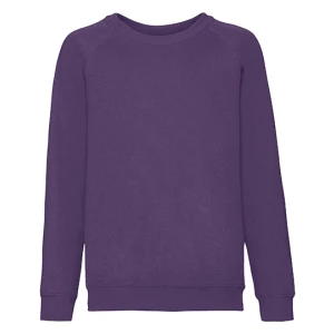 Kids\u0027\u0020Classic\u0020Raglan\u0020Sweat - Purple