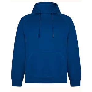 Vinson\u0020Organic\u0020Hooded\u0020Sweatshirt - Royal Blue 05