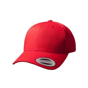 Curved\u0020Classic\u0020Snapback - Red