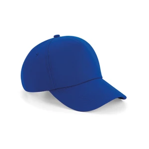 Authentic\u00205\u0020Panel\u0020Cap - Bright Royal