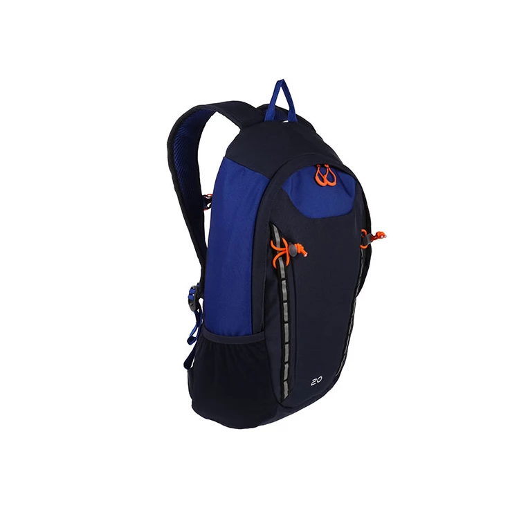 Ridgetrek 20L Backpack