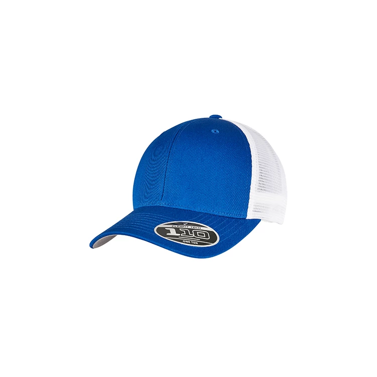 110 Mesh 2-Tone Cap