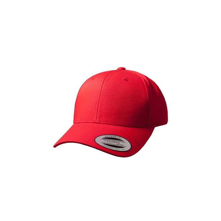 Curved Classic Snapback